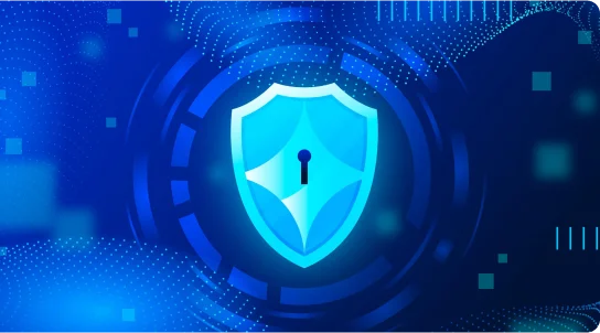 Data Privacy & BAA Architecture